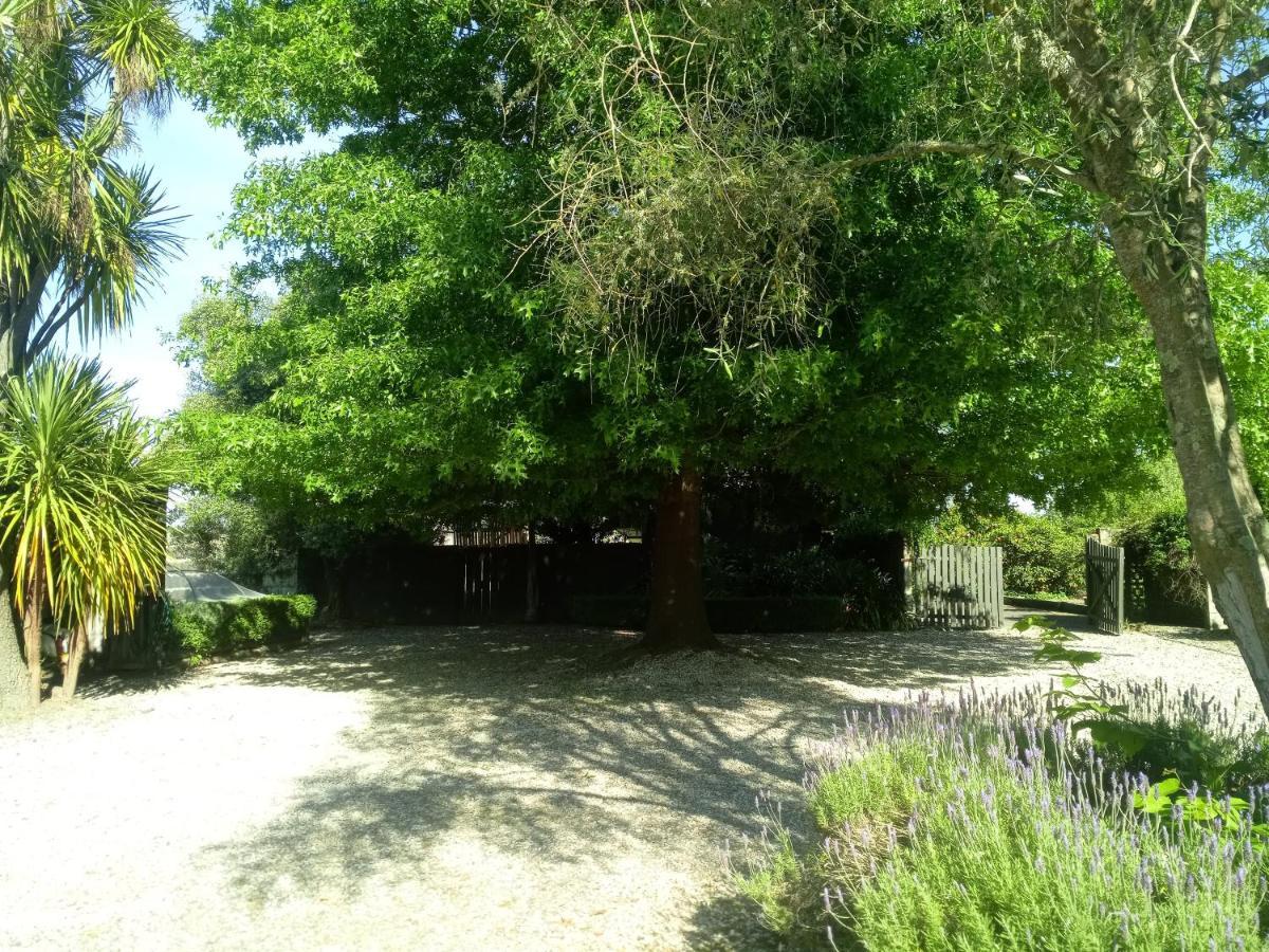 Bed and Breakfast Irongate Retreat Hastings Zewnętrze zdjęcie